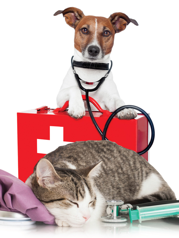 First Aid & CPR for Cats and Dogs